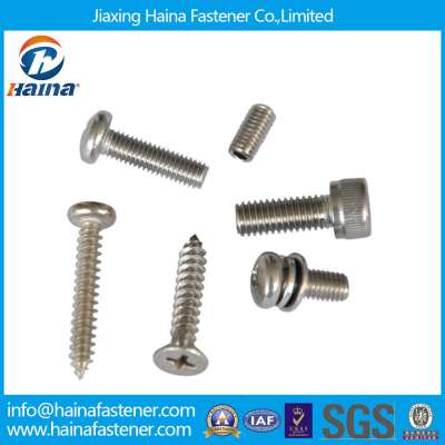 DIN7981 DIN7982 DIN7985 Fastener Screw Self Tapping Screw Machine Screw Pan Head Countersunk Head Stainless Steel Screw