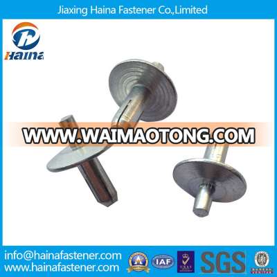 China Supplier Large Head Steel Drive Rivet in High Strength